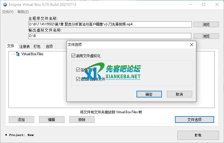 Enigma Virtual Box v11.30汉化版